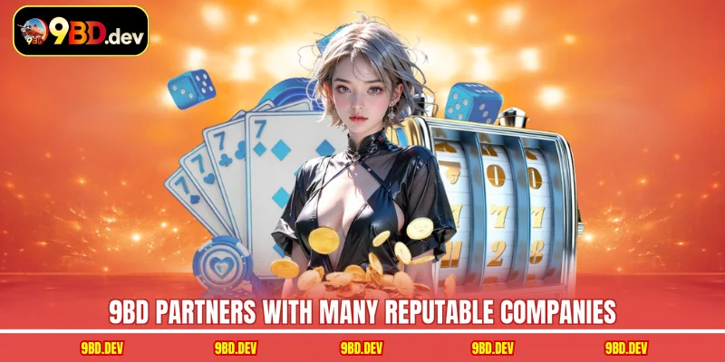 9BD partners with many reputable companies